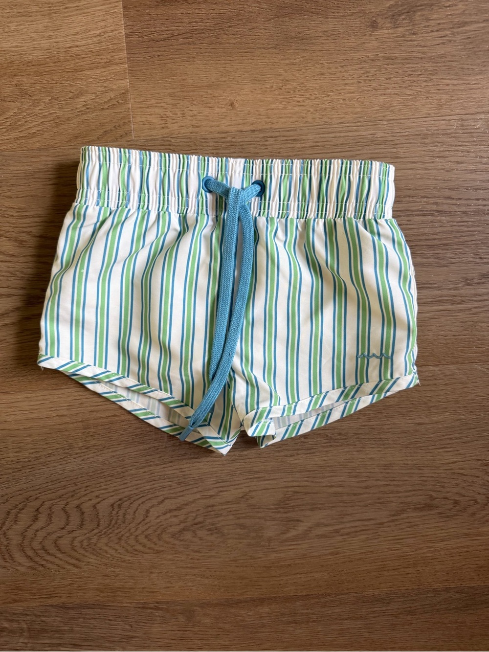 Minnow Toddler Boy Swim Shorts size 2T